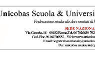 Banner Unicobas